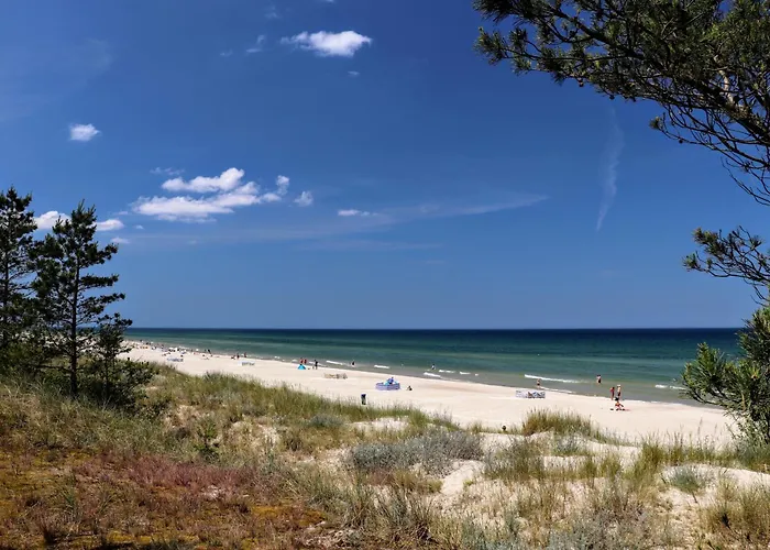 Blu Bay